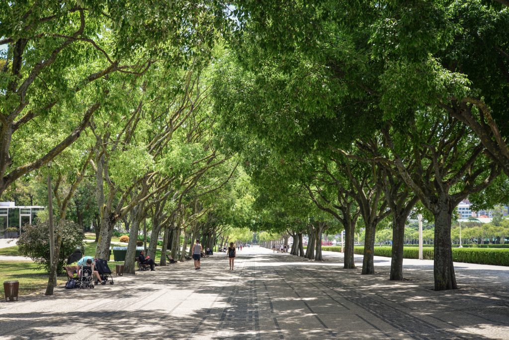 eduardo vii park lissabon